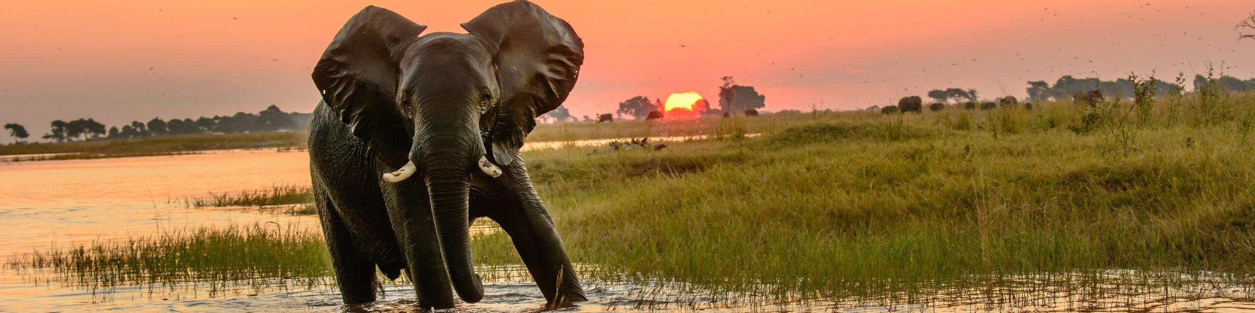 Exploring Tour Botswana & Südafrika | Abenteuerlich. Exklusiv. Intensiv.