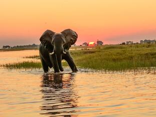 Exploring Tour Botswana & Südafrika | Abenteuerlich. Exklusiv. Intensiv.
